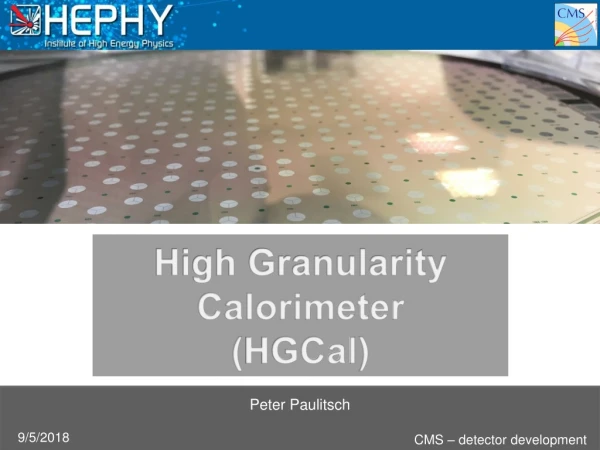 High Granularity Calorimeter ( HGCal )