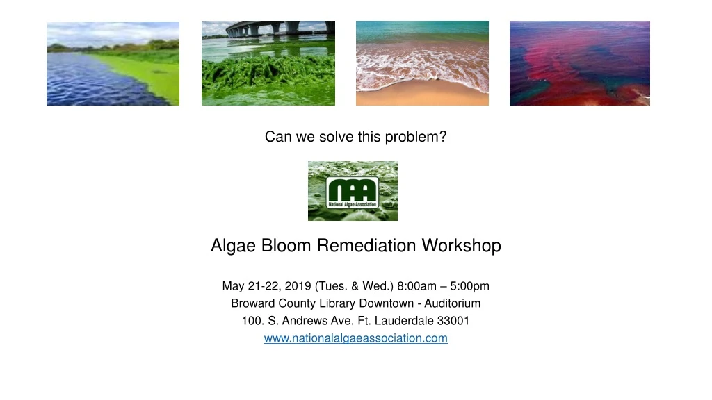 can we solve this problem algae bloom remediation