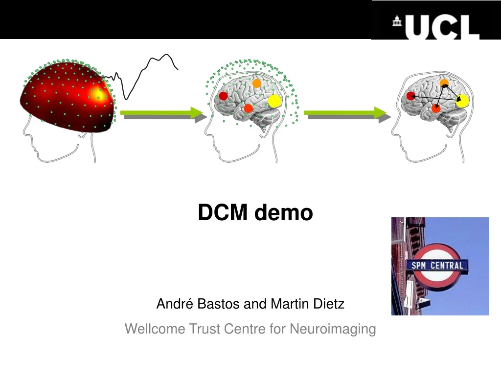 dcm demo