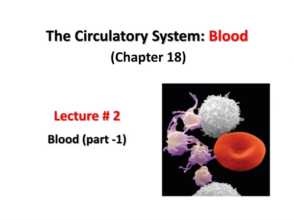 The Circulatory System: Blood