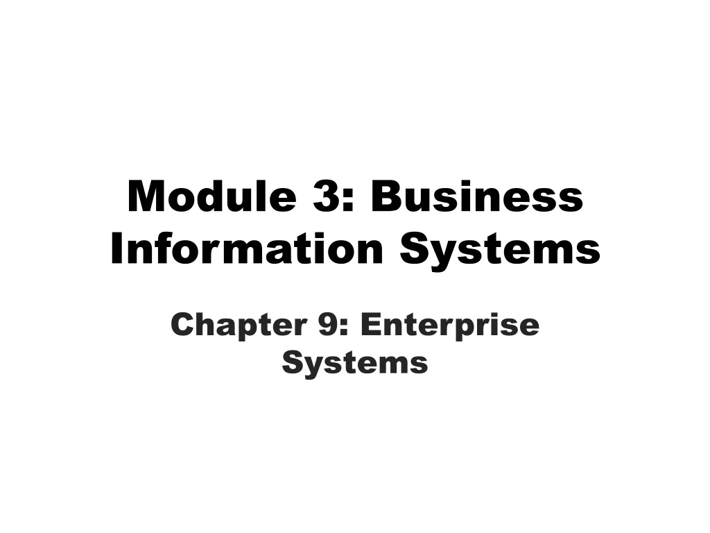 module 3 business information systems