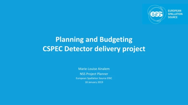 Planning and Budgeting CSPEC Detector delivery project