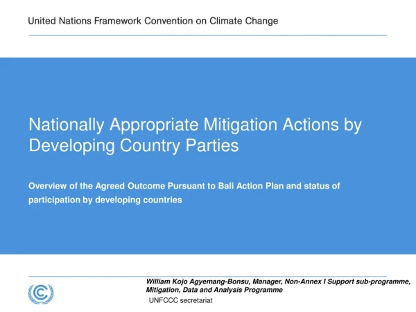Nationally Appropriate Mitigation Actions by Developing Country Parties