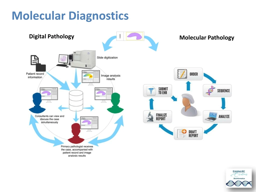 molecular diagnostics