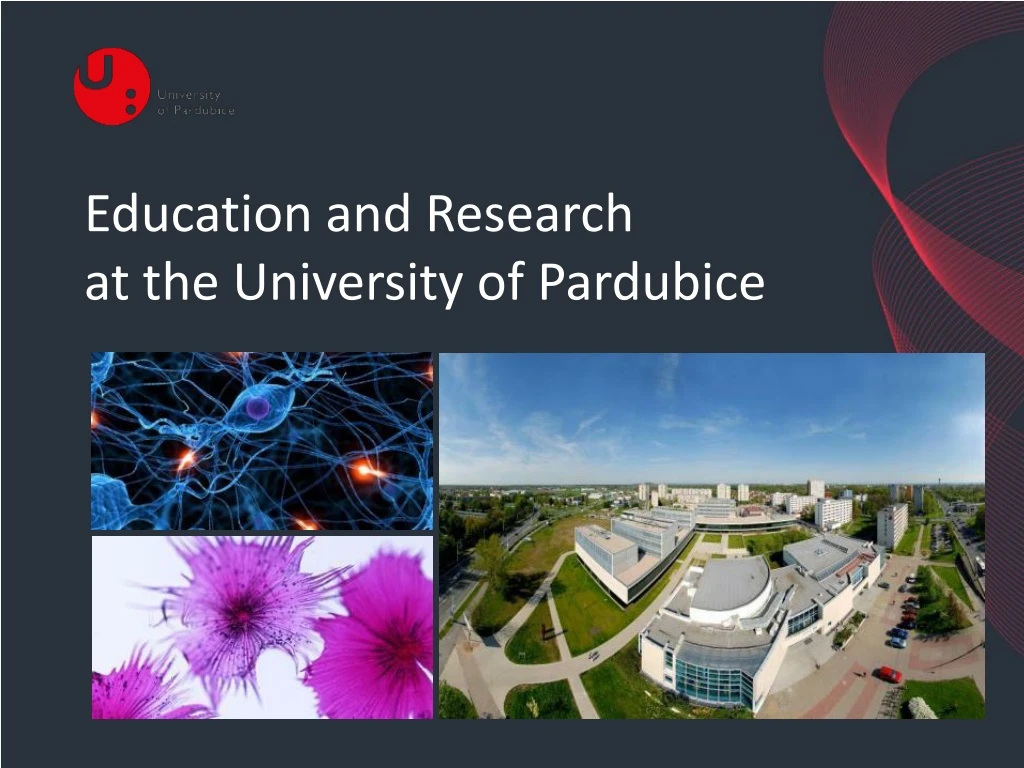 education and research at the university