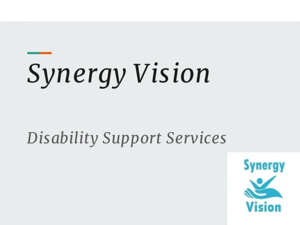 synergy vision