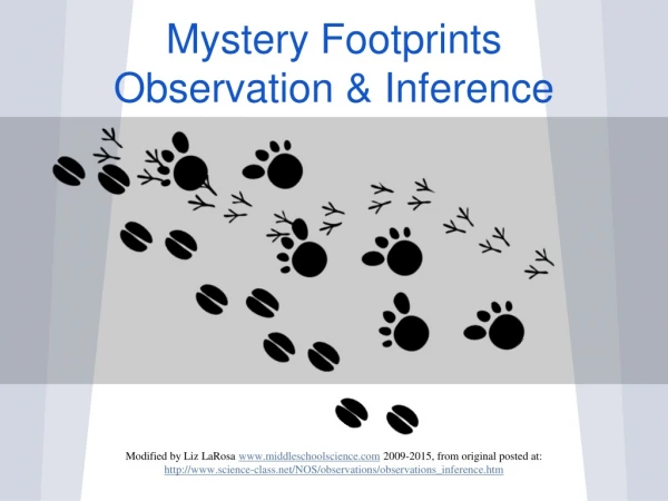 Mystery Footprints Observation &amp; Inference