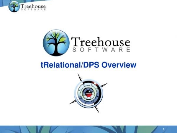 tRelational/DPS Overview