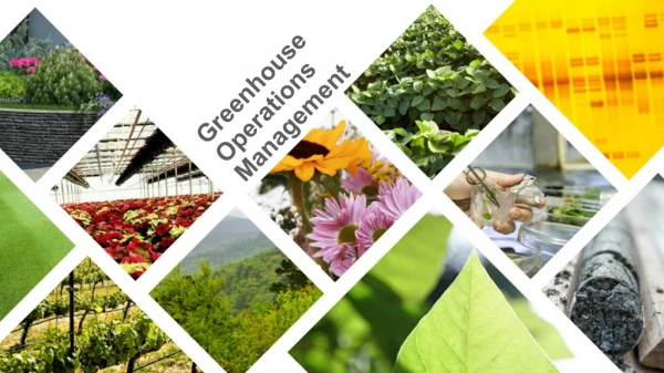 Greenhouse Operations Management