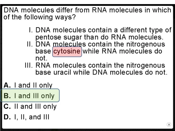 Nucleic Acids