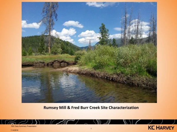 Rumsey Mill &amp; Fred Burr Creek Site Characterization