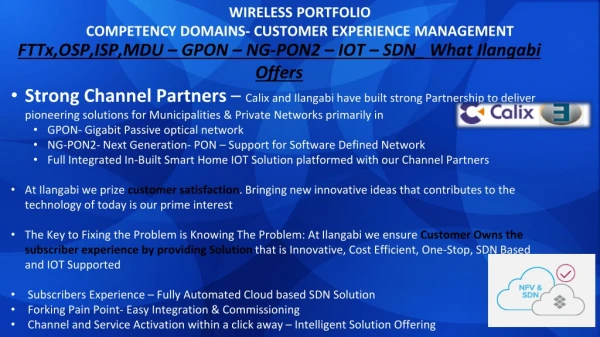 WIRELESS PORTFOLIO COMPETENCY DOMAINS- CUSTOMER EXPERIENCE MANAGEMENT