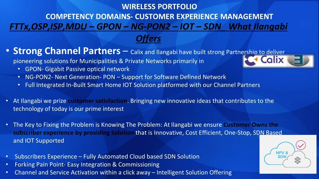 wireless portfolio competency domains customer