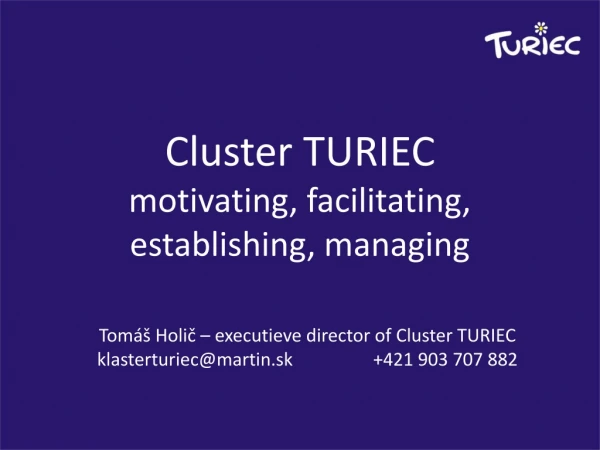 Cluster TURIEC motivating, facilitating, establishing, managing