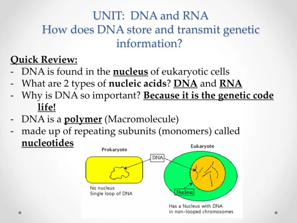 UNIT: DNA and RNA How does DNA store and transmit genetic information?