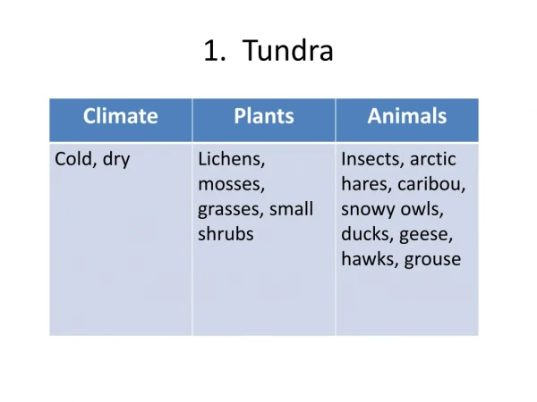 1. Tundra