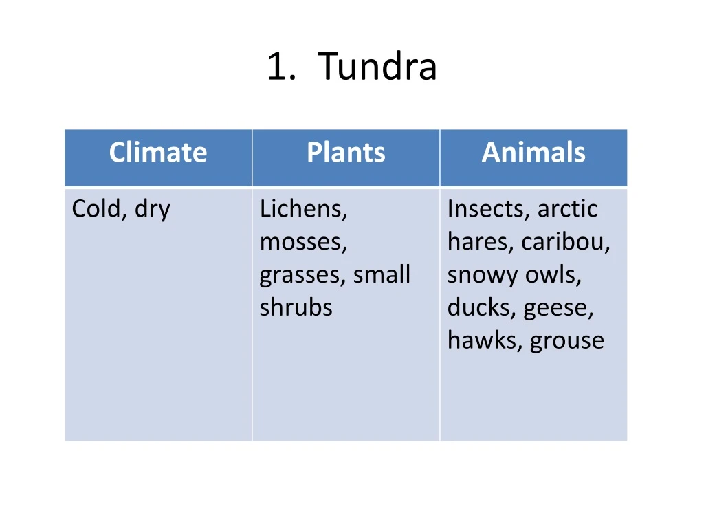 1 tundra