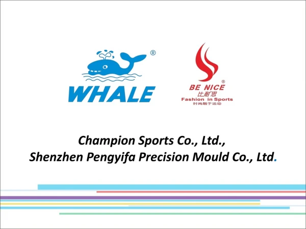 Champion Sports Co., Ltd., Shenzhen Pengyifa Precision Mould Co., Ltd .