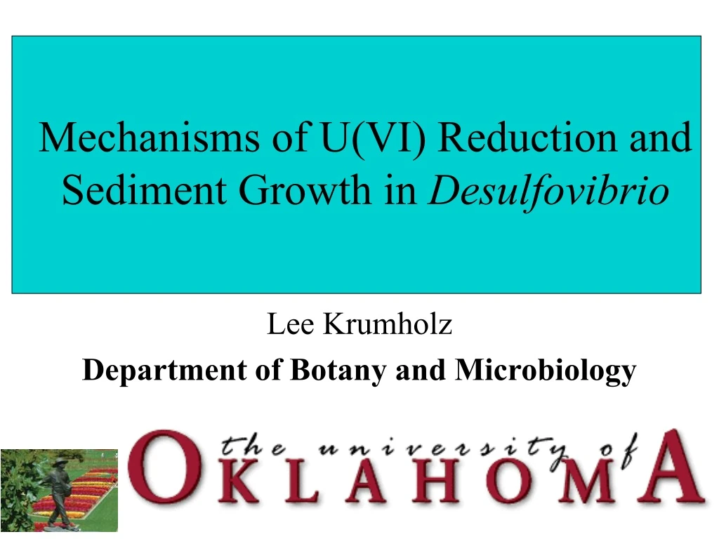 mechanisms of u vi reduction and sediment growth in desulfovibrio