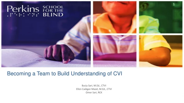 Becoming a Team to Build Understanding of CVI