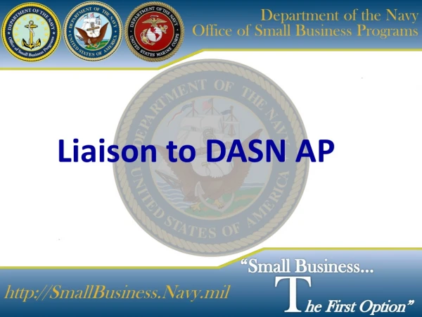 Liaison to DASN AP
