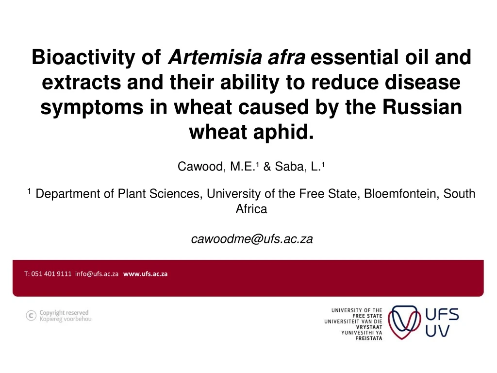 bioactivity of artemisia afra essential