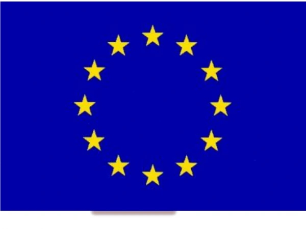 European federation nurses associations