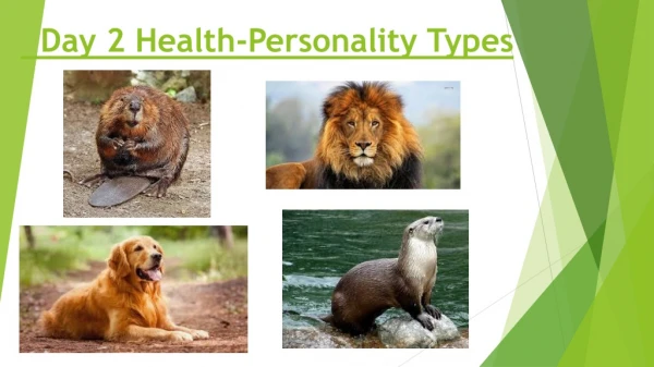 Day 2 Health-Personality Types
