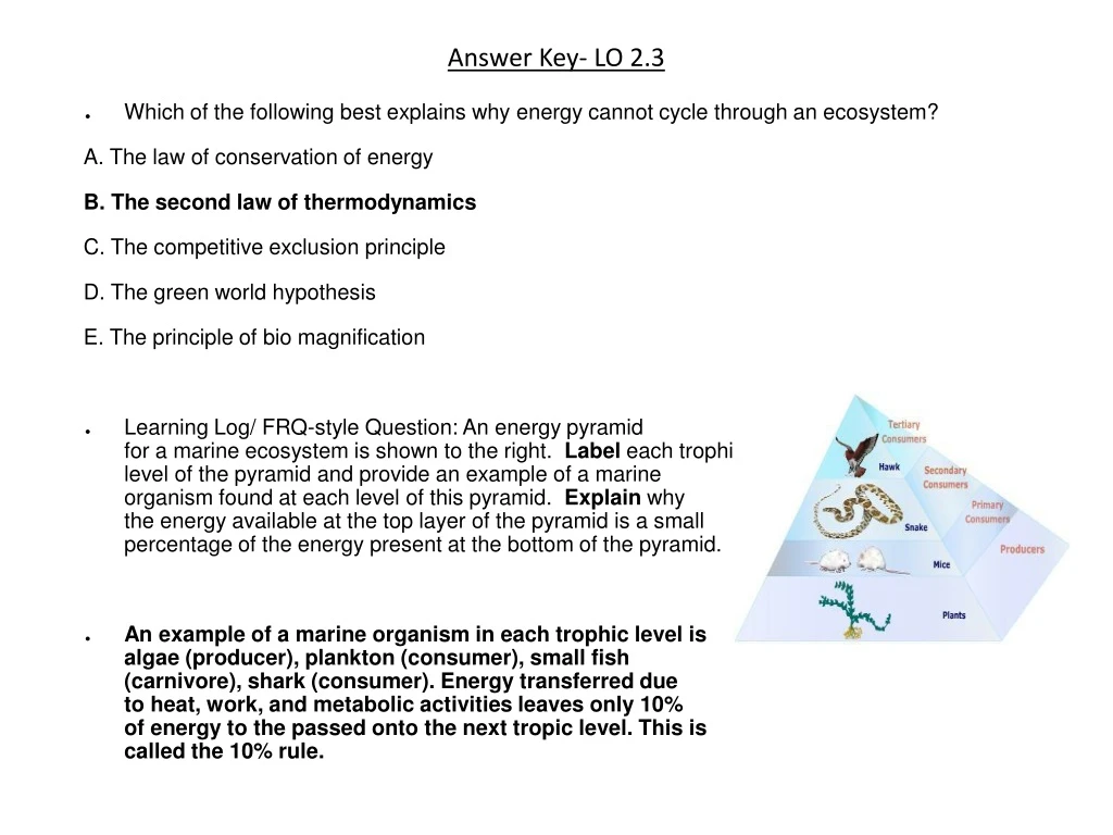 answer key lo 2 3