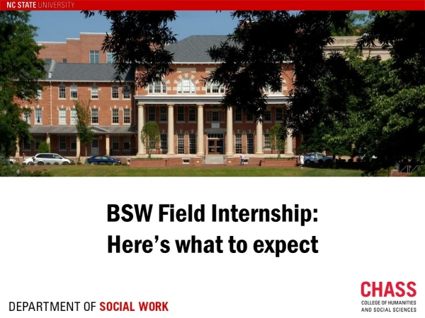 BSW Field Internship: Here’s what to expect
