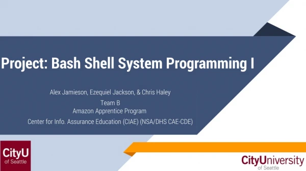 Project: Bash Shell System Programming I