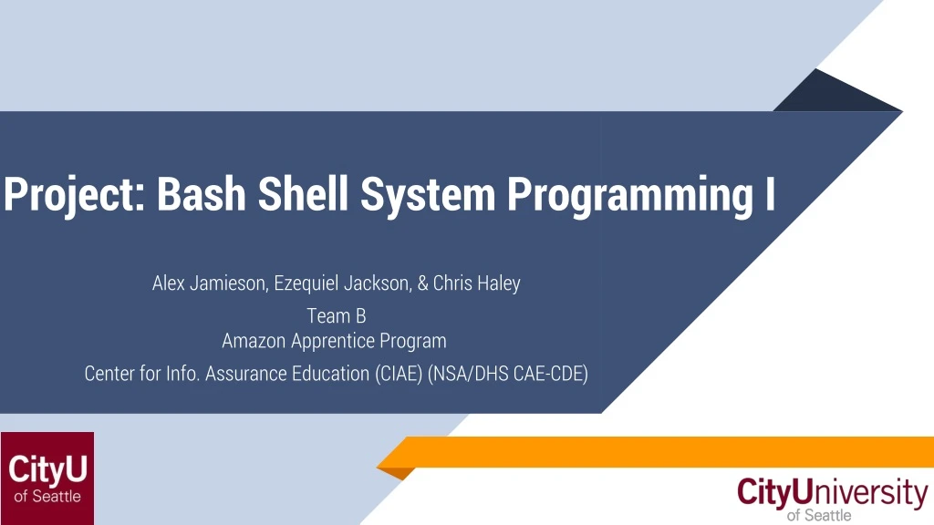 project bash shell system programming i