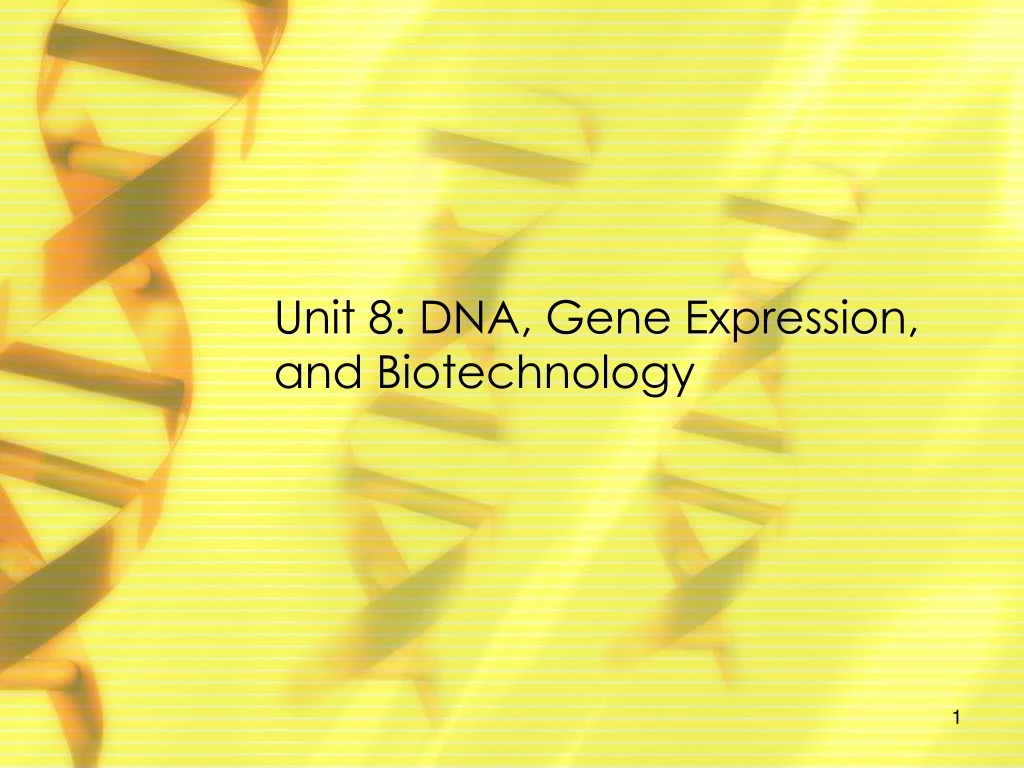 unit 8 dna gene expression and biotechnology