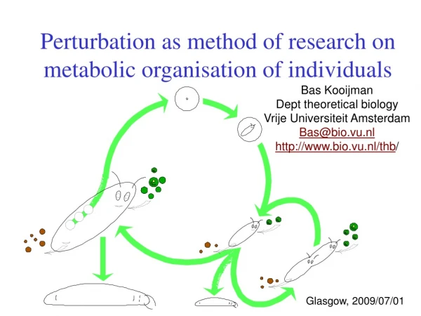 Perturbation as method of research on metabolic organisation of individuals