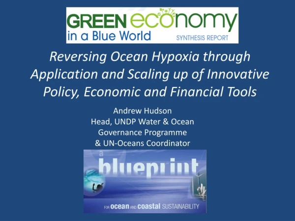 Andrew Hudson Head, UNDP Water &amp; Ocean Governance Programme &amp; UN-Oceans Coordinator