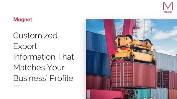 Customized Export Information That Matches Your Business’ Profile