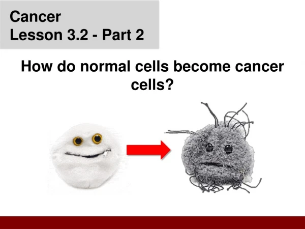 Cancer Lesson 3.2 - P art 2