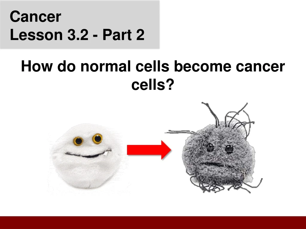 cancer lesson 3 2 p art 2