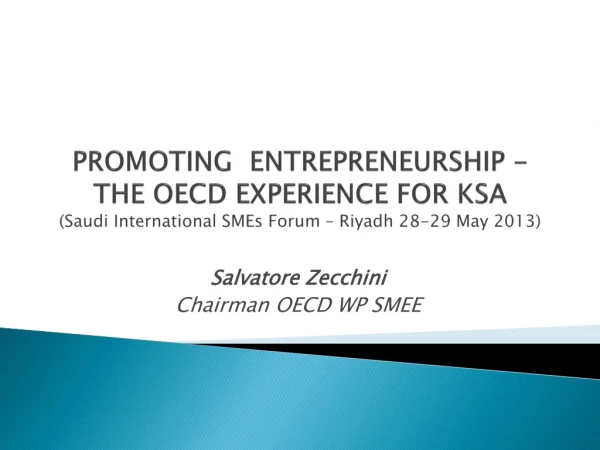 Salvatore Zecchini Chairman OECD WP SMEE