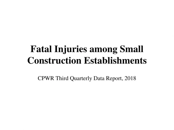 Fatal Injuries among Small Construction Establishments