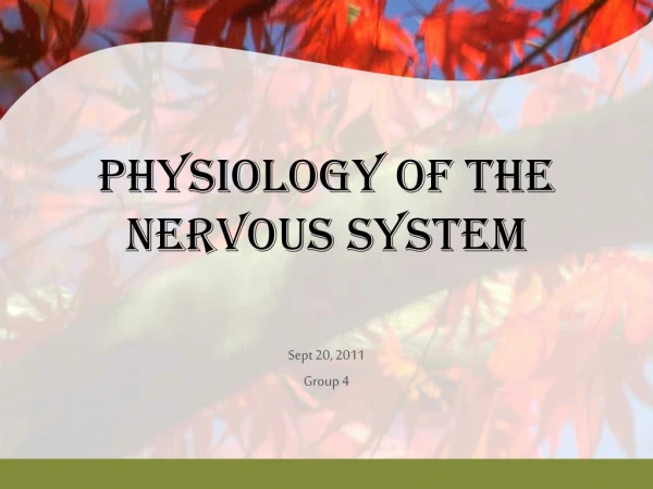 PHYSIOLOGY OF THE NERVOUS SYSTEM