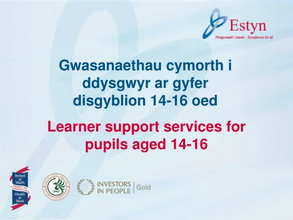 Learner support services for pupils aged 14-16