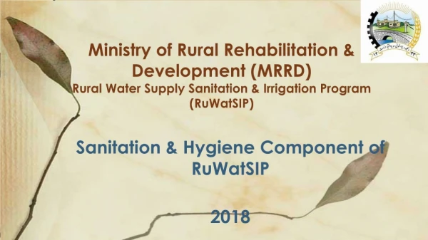 Sanitation &amp; Hygiene Component of RuWatSIP 2018