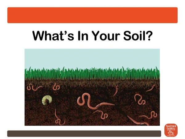 What’s In Your Soil?