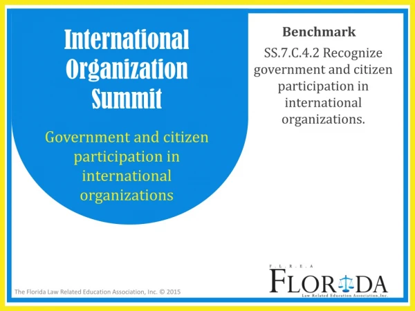 International Organization Summit