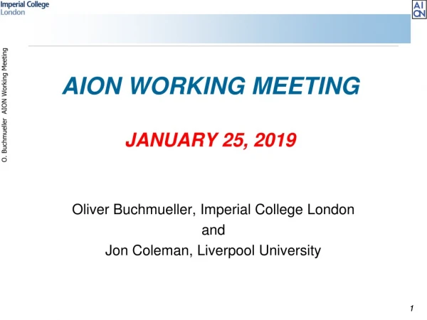 AION Working Meeting January 25, 2019
