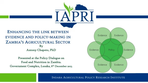 Indaba Agricultural Policy Research Institute