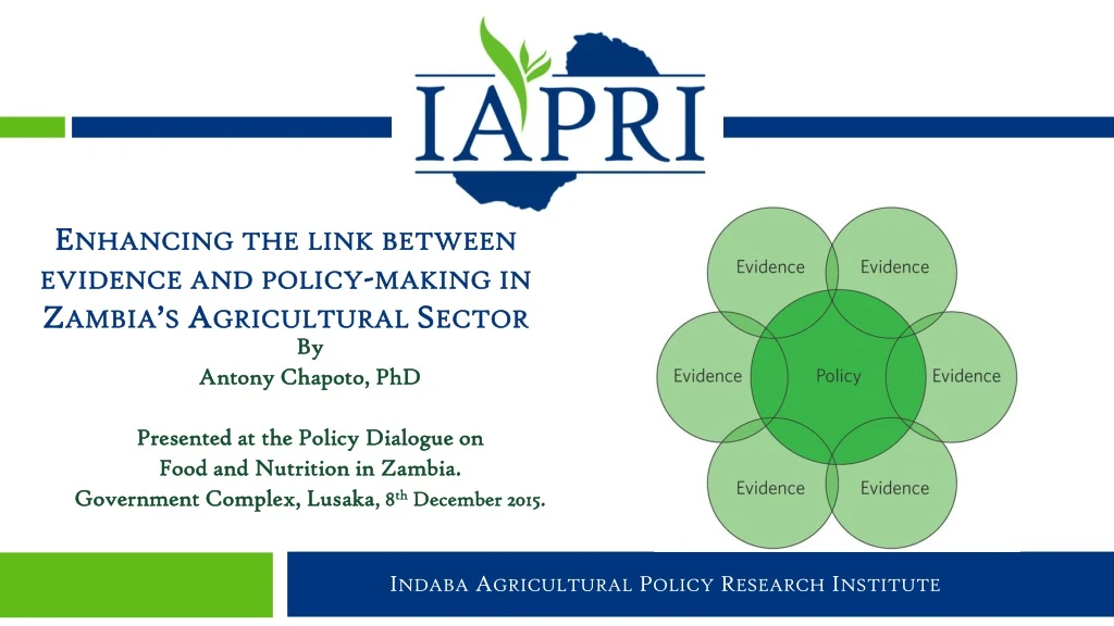 indaba agricultural policy research institute