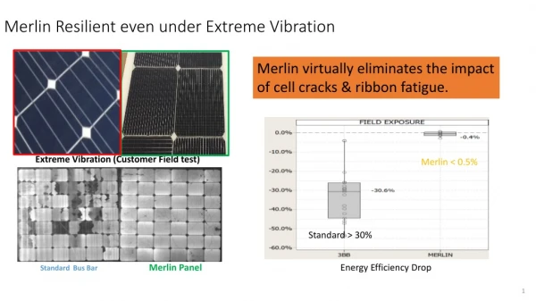 Merlin Resilient even under Extreme Vibration