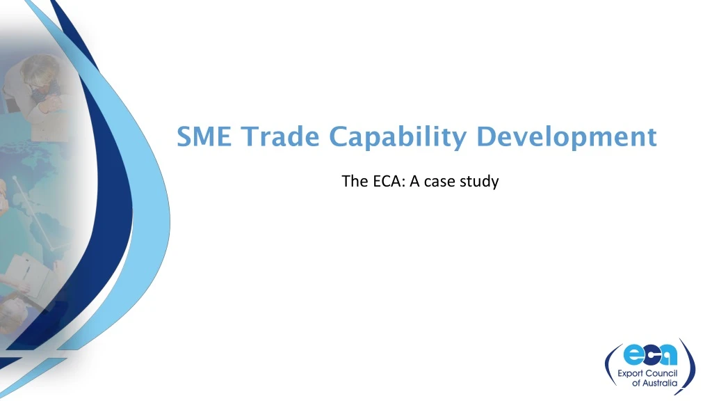 sme trade capability development